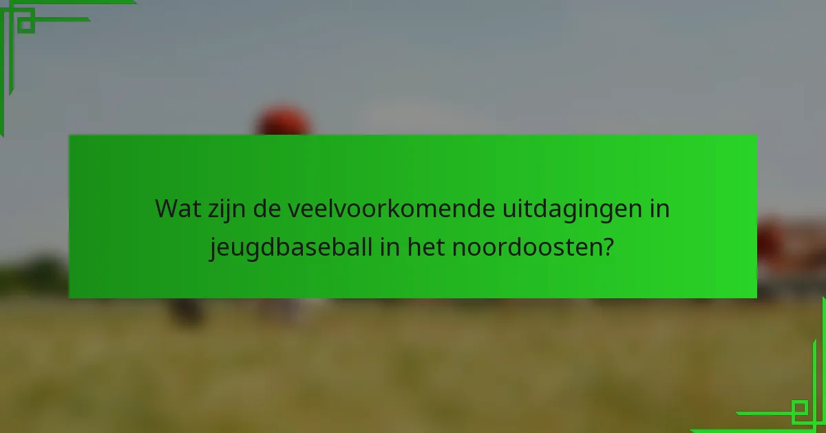Wat zijn de veelvoorkomende uitdagingen in jeugdbaseball in het noordoosten?